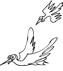 vögel